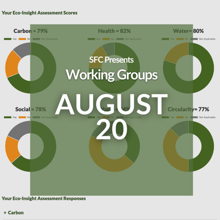 EIA WG Aug 20